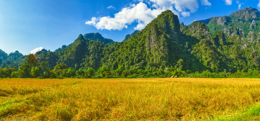 Similar image 15925274