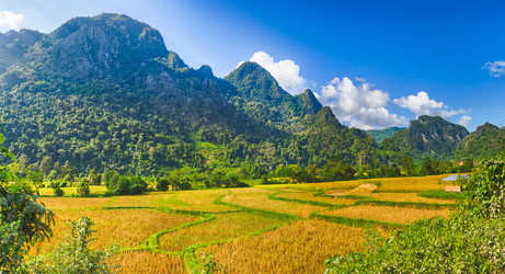 Similar image 15925278