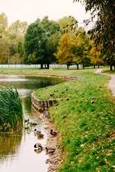 Similar image 16222330