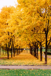 Similar image 16222340