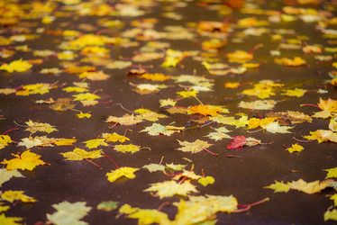 Similar image 16222343