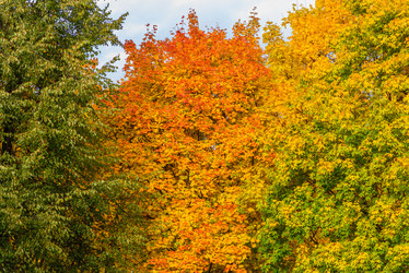 Similar image 16222344