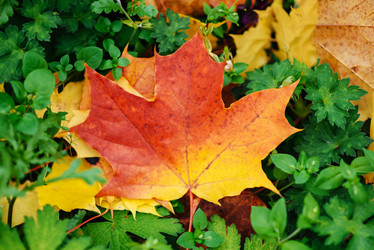 Similar image 16222349