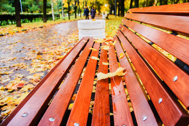 Similar image 16222351