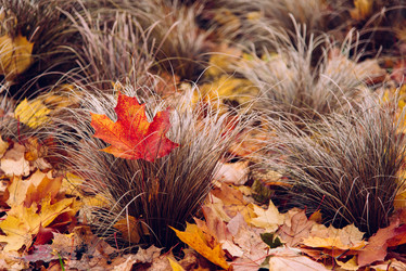 Similar image 16222354