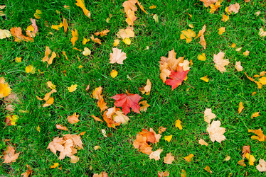 Similar image 16222379