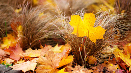 Similar image 16222386