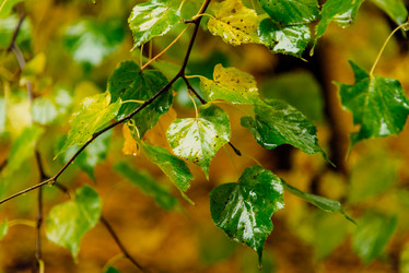 Similar image 16222387