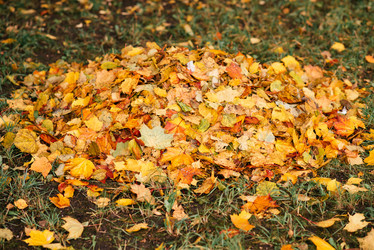 Similar image 16222388