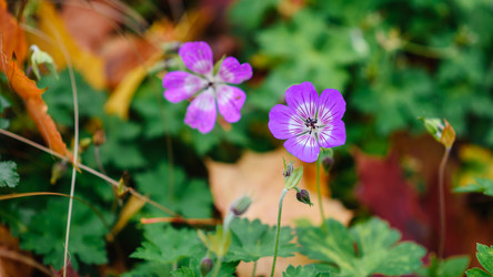 Similar image 16222453