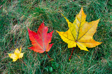 Similar image 16222456