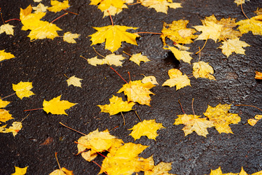 Similar image 16222580