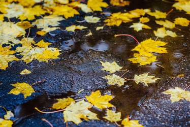 Similar image 16222585