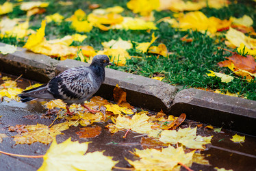 Similar image 16222586