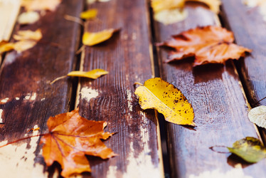 Similar image 16222525