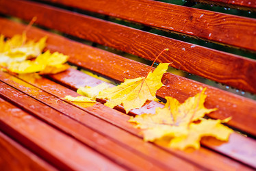 Similar image 16222531