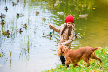 Similar image 16222646