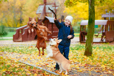 Similar image 16222683