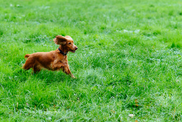 Similar image 16222682