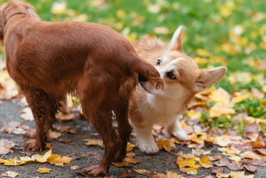 Similar image 16222684