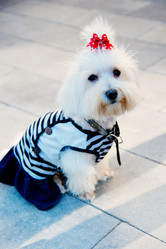 Similar image 16222767