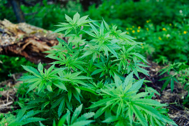 Similar image 16222768