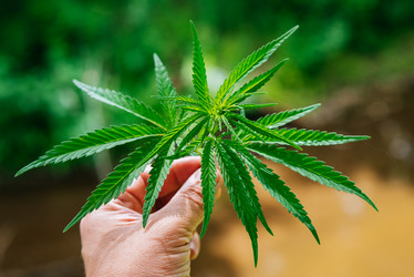 Similar image 16222777