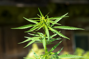 Similar image 16222780