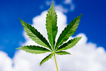 Similar image 16222793