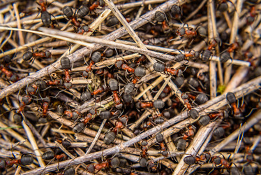 Similar image 16222847