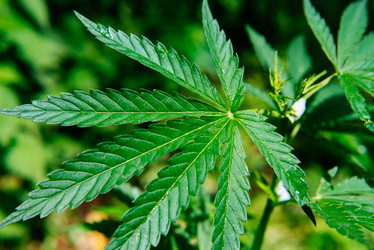 Similar image 16222849