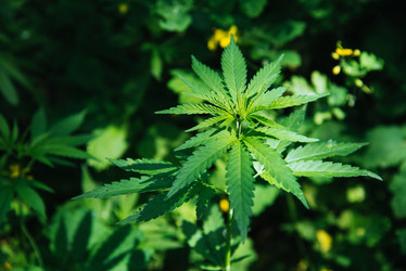 Similar image 16222820