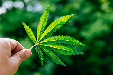 Similar image 16222821