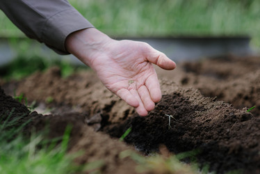 Similar image 16222331