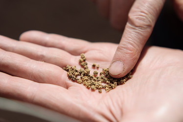 Similar image 16222333