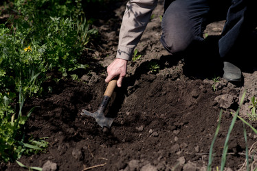 Similar image 16222360