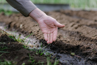 Similar image 16222363