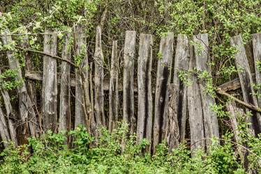 Similar image 16222384