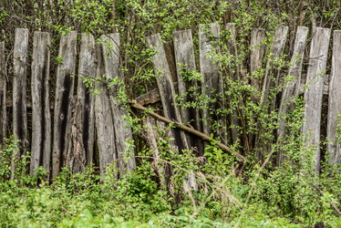 Similar image 16222391