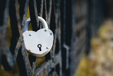 Similar image 16222459