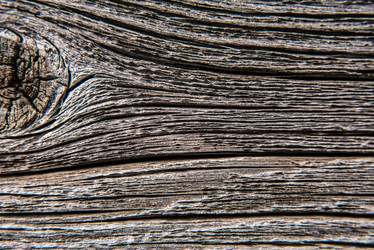 Similar image 16222592