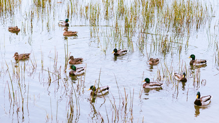 Similar image 16222736