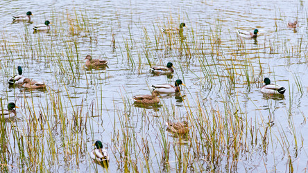 Similar image 16222738