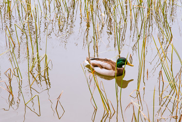 Similar image 16222748