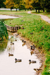 Similar image 16222751