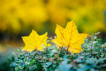 Similar image 16222752