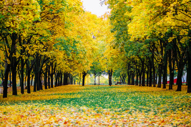 Similar image 16222722