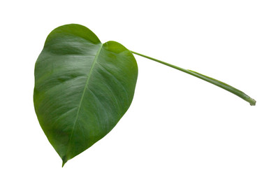 Similar image 15926120