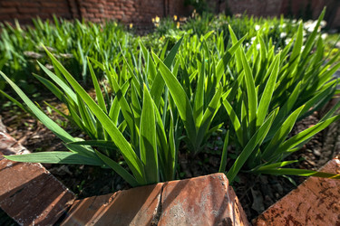 Similar image 15926132