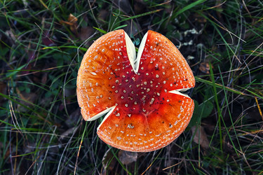 Similar image 15926133